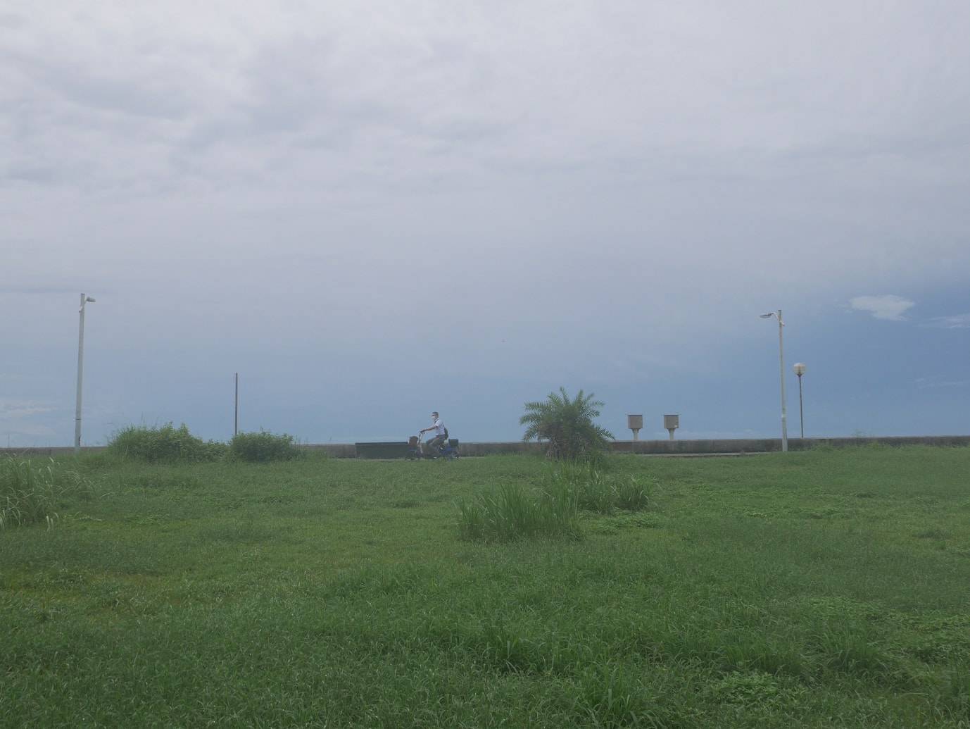 台東市區︱一日免門票行程 台東海濱公園+加路蘭海岸+太麻里櫻木花道平交道 拍好拍滿 超實在一日遊