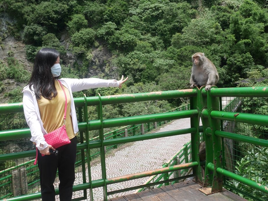 台東日常┃山跟天空離我好近 水果造型公車亭 釋迦滿路跑 在台東旅行的日子 花東旅行的定義就是隨路拍照