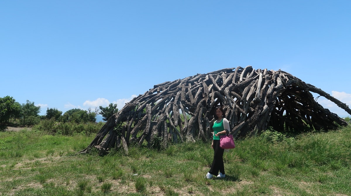宜蘭壯圍︱一日行程 壯圍沙丘園區彷彿走入藝術祭 公車直達 橘之鄉蜜餞館伴手禮 好買又好拍