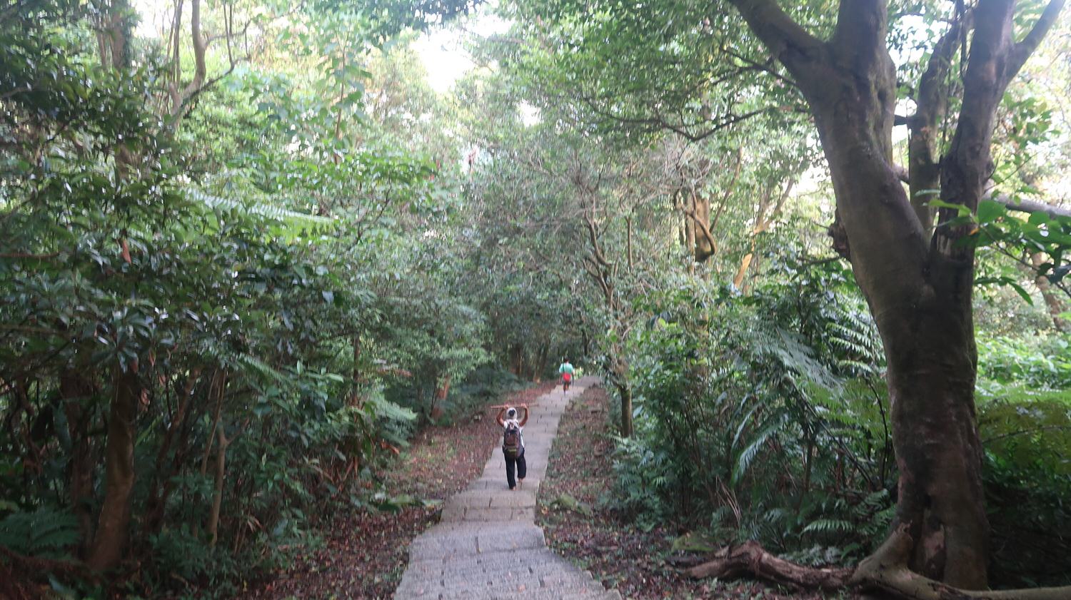 新北爬山┃素人爬山 郊山小百岳「汐止大尖山」 樓梯很多景色絕佳 來回約半天 很有挑戰感