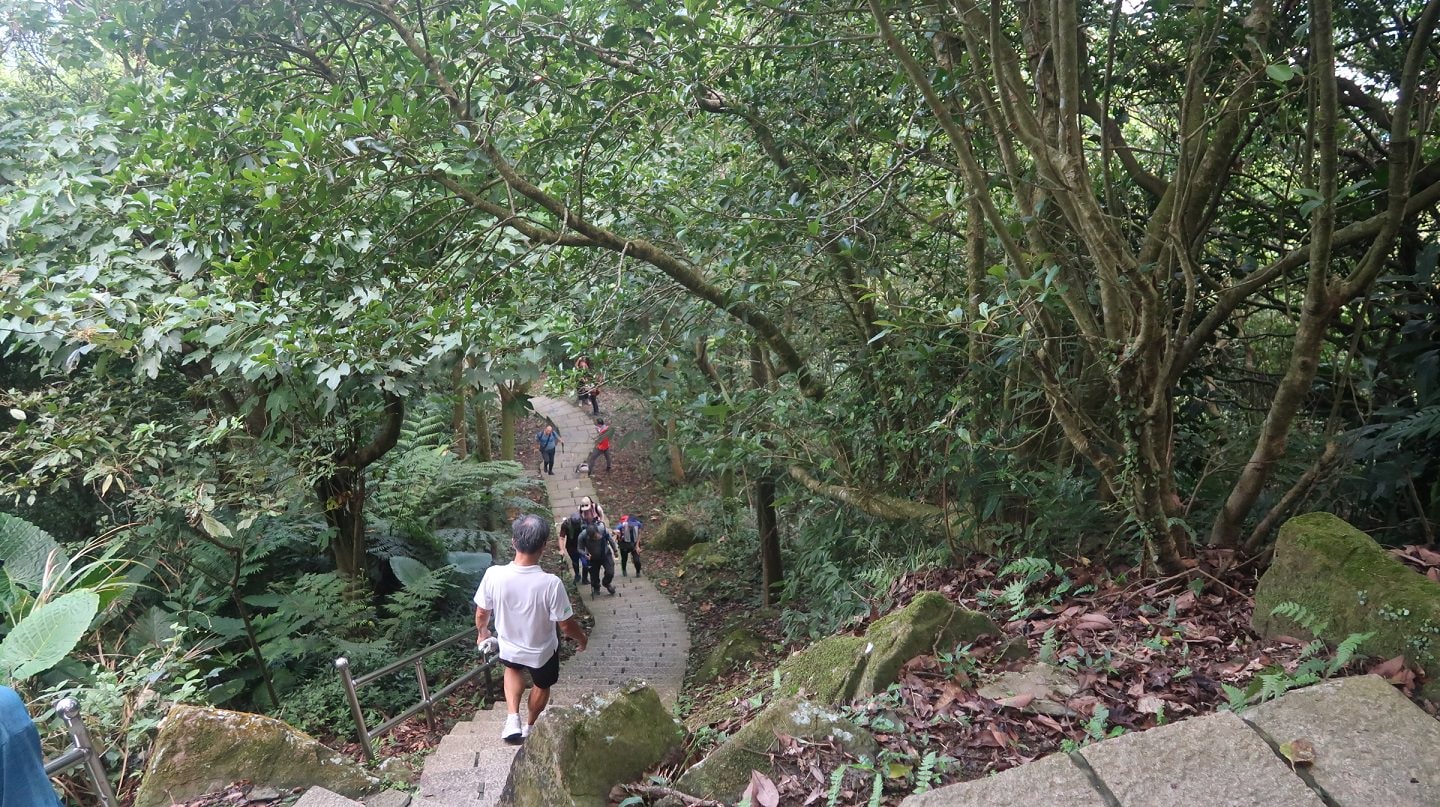 新北爬山┃素人爬山 郊山小百岳「汐止大尖山」 樓梯很多景色絕佳 來回約半天 很有挑戰感