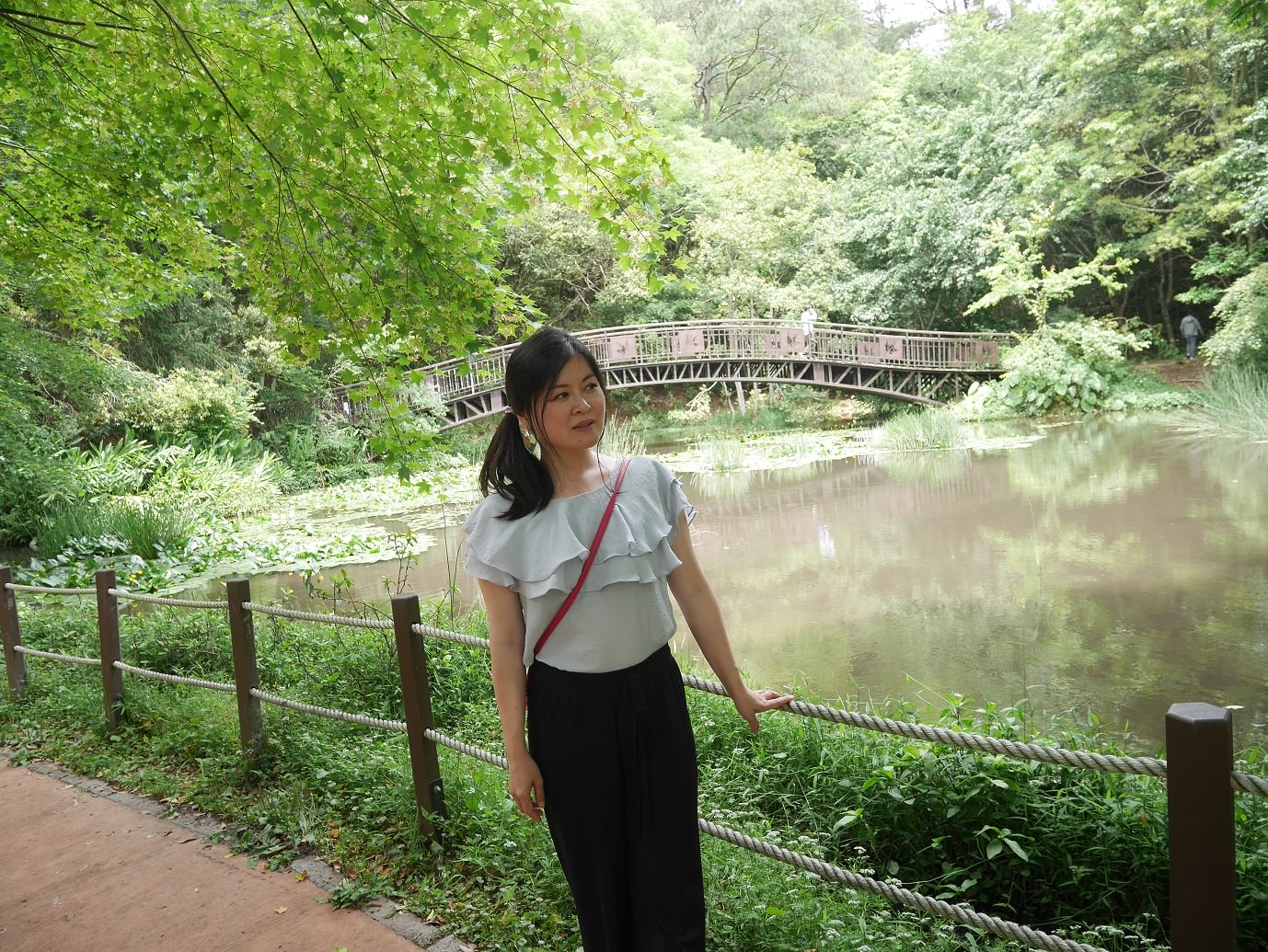 南投仁愛埔里┃奧萬大國家森林遊樂區+全台最美暨南大學 一日行程 夏涼秋賞楓中部一日散步