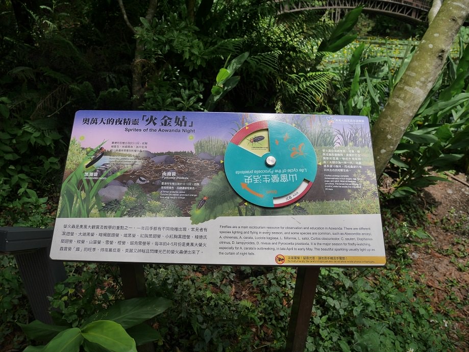 南投仁愛埔里┃奧萬大國家森林遊樂區+全台最美暨南大學 一日行程 夏涼秋賞楓中部一日散步