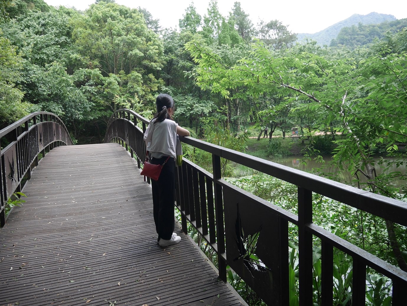 南投仁愛埔里┃奧萬大國家森林遊樂區+全台最美暨南大學 一日行程 夏涼秋賞楓中部一日散步