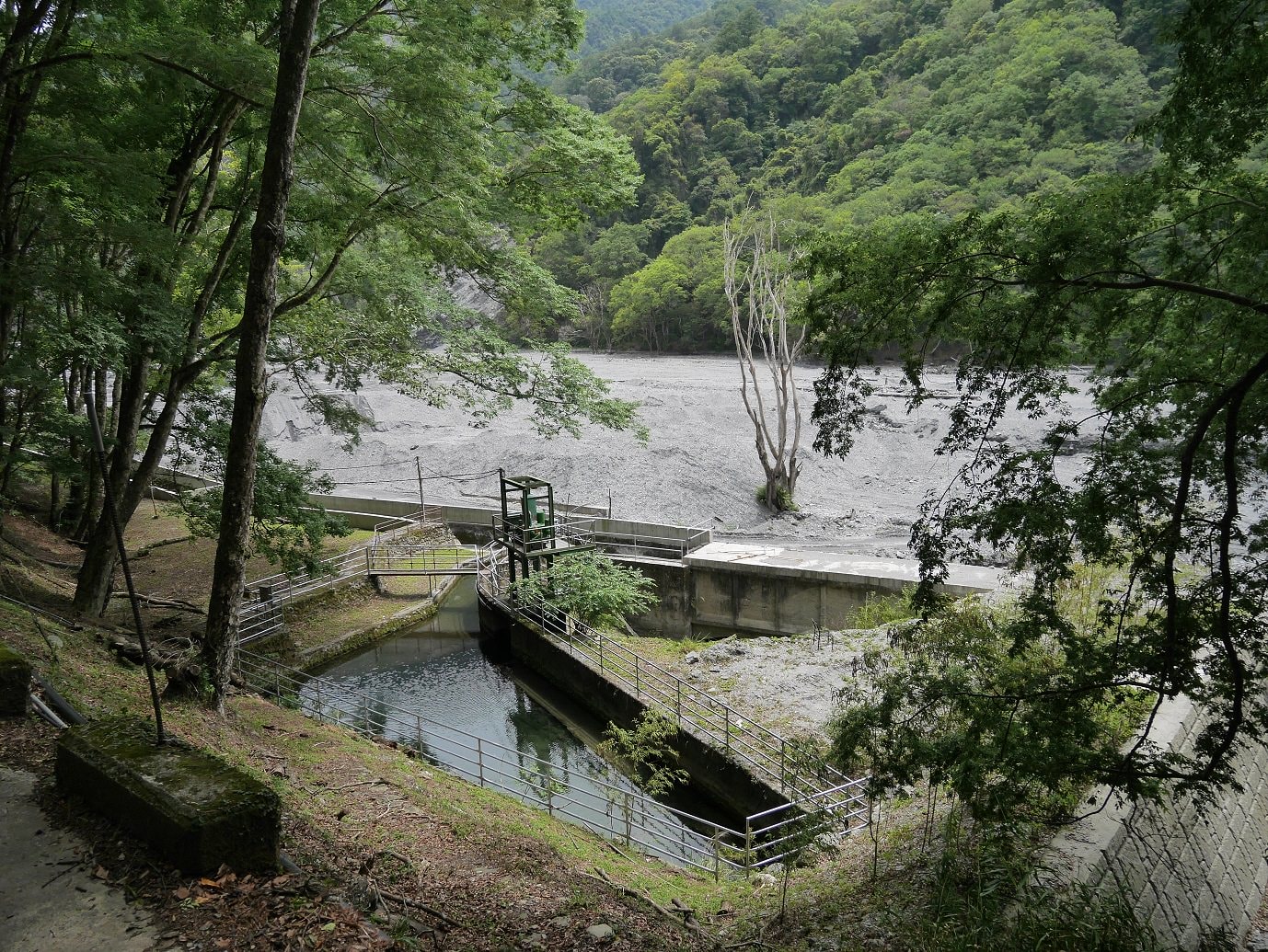 南投仁愛埔里┃奧萬大國家森林遊樂區+全台最美暨南大學 一日行程 夏涼秋賞楓中部一日散步