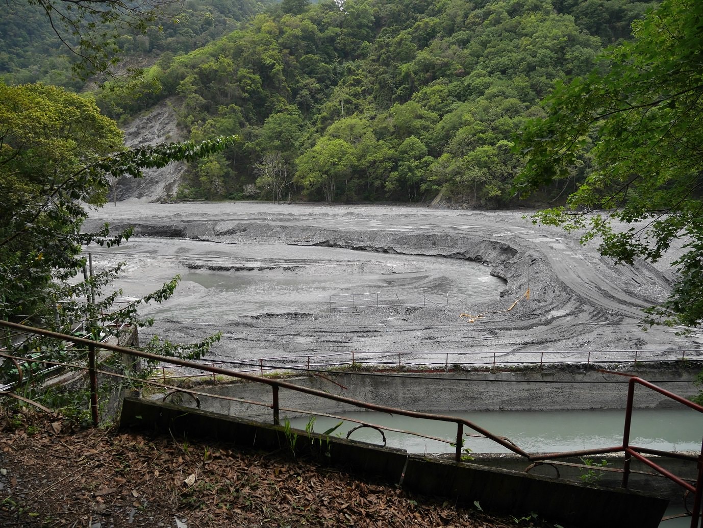 南投仁愛埔里┃奧萬大國家森林遊樂區+全台最美暨南大學 一日行程 夏涼秋賞楓中部一日散步