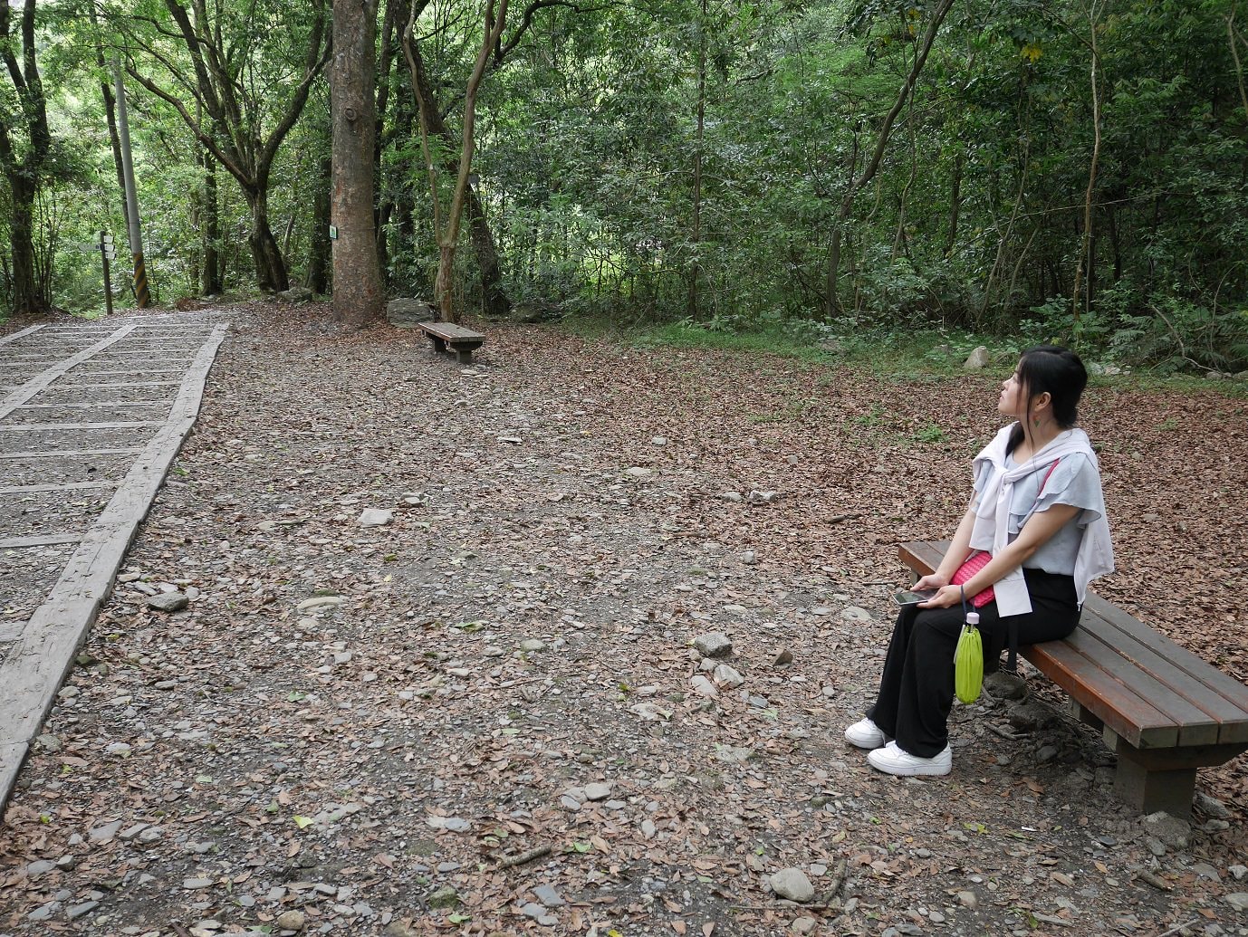 南投仁愛埔里┃奧萬大國家森林遊樂區+全台最美暨南大學 一日行程 夏涼秋賞楓中部一日散步