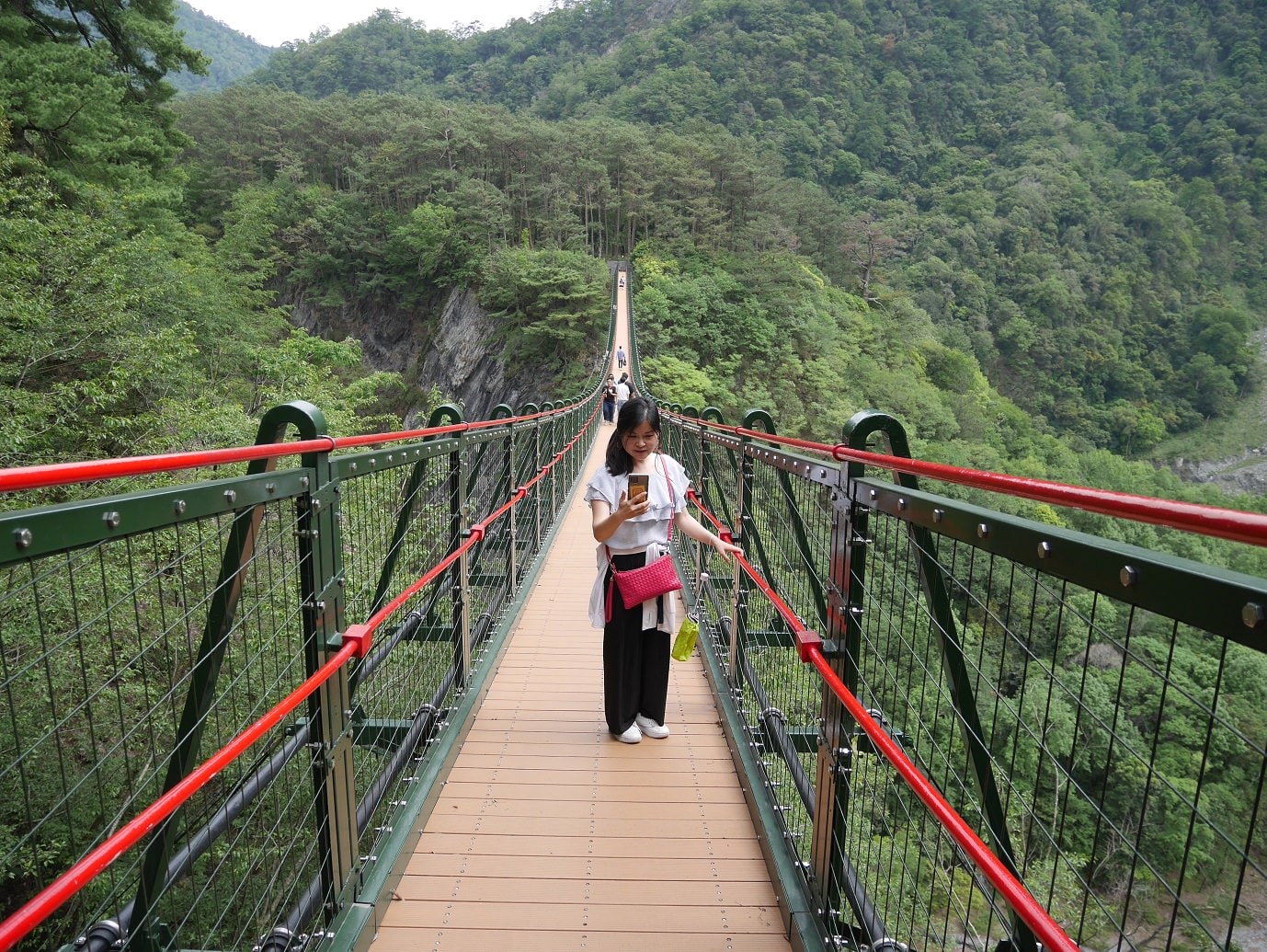 南投仁愛埔里┃奧萬大國家森林遊樂區+全台最美暨南大學 一日行程 夏涼秋賞楓中部一日散步