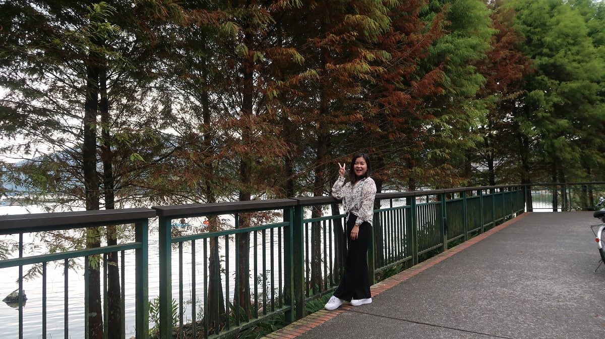 南投魚池┃一日行程求緣份  月老廟龍鳳宮+單車遊日月潭 景色喜美遇見落雨松好浪漫