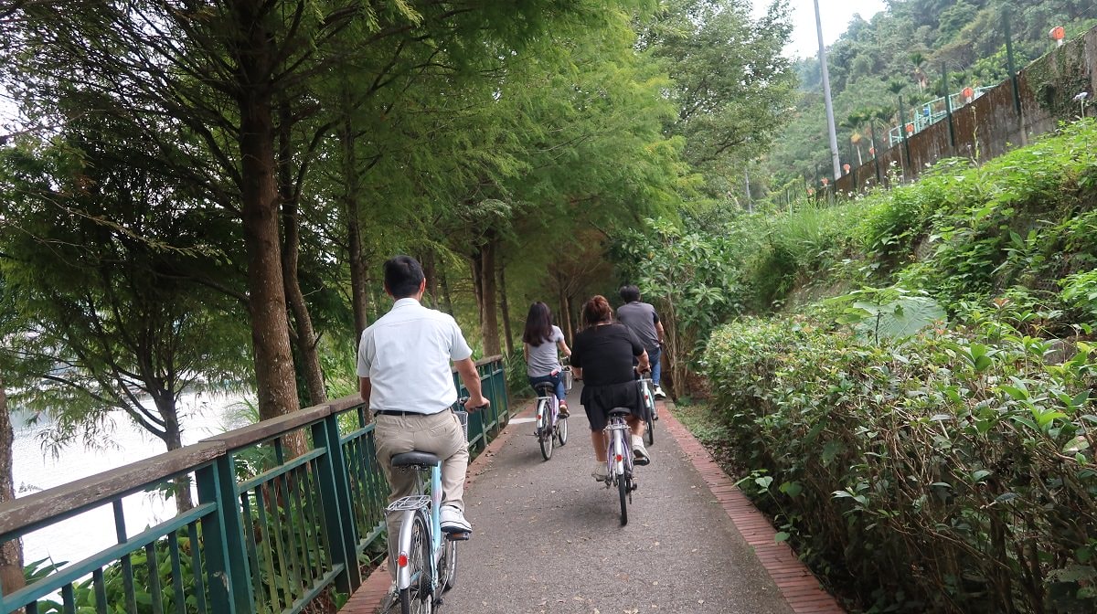 南投魚池┃一日行程求緣份  月老廟龍鳳宮+單車遊日月潭 景色喜美遇見落雨松好浪漫
