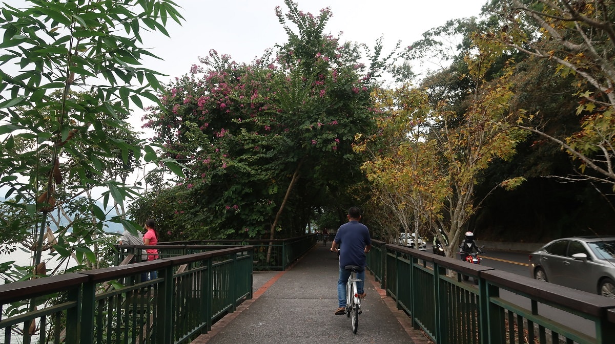 南投魚池┃一日行程求緣份  月老廟龍鳳宮+單車遊日月潭 景色喜美遇見落雨松好浪漫