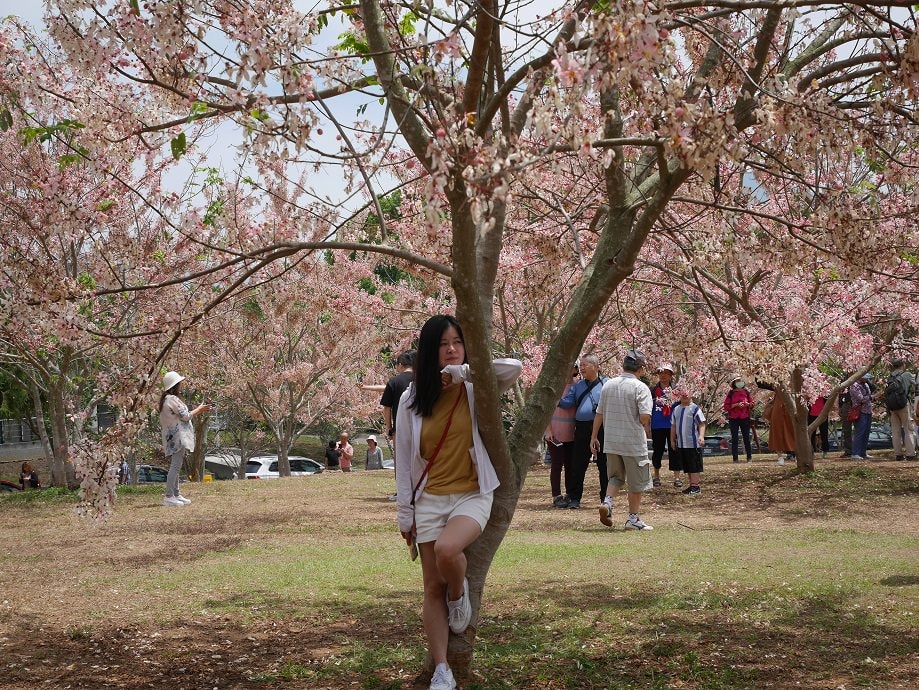 南投仁愛埔里┃奧萬大國家森林遊樂區+全台最美暨南大學 一日行程 夏涼秋賞楓中部一日散步