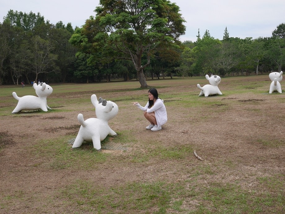 南投仁愛埔里┃奧萬大國家森林遊樂區+全台最美暨南大學 一日行程 夏涼秋賞楓中部一日散步