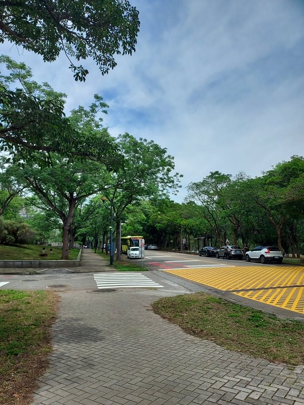 南投仁愛埔里┃奧萬大國家森林遊樂區+全台最美暨南大學 一日行程 夏涼秋賞楓中部一日散步