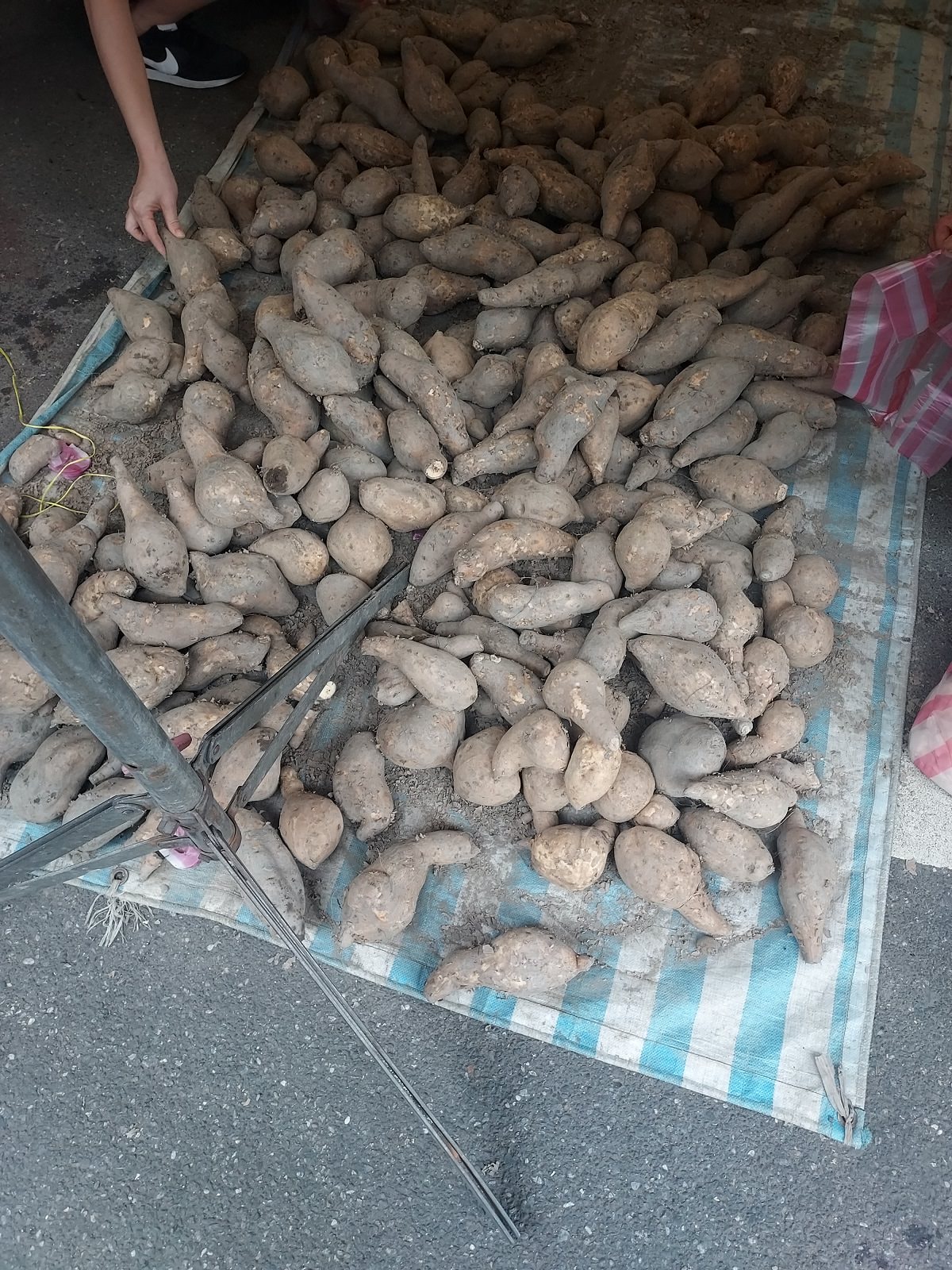 台湾朝市┃何でも売っている。服、雑貨、靴など、朝市が好きなお母さん達は毎日行くよ(朝市→菜市場)台湾旅行