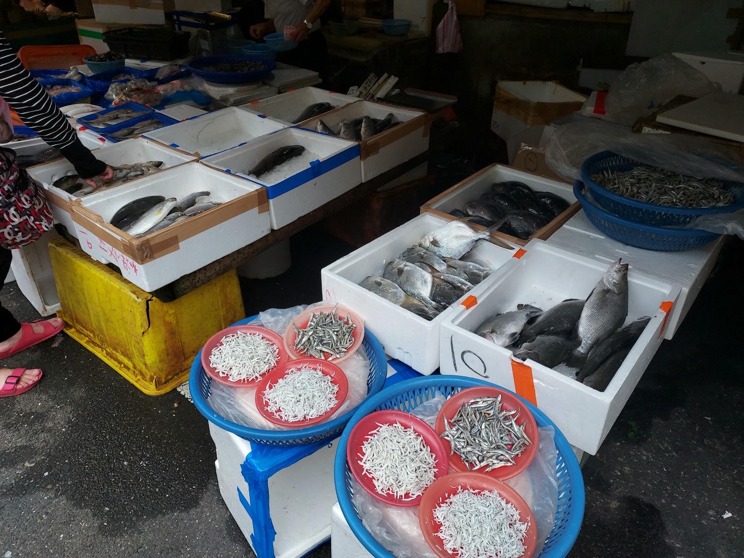 台湾朝市┃何でも売っている。服、雑貨、靴など、朝市が好きなお母さん達は毎日行くよ(朝市→菜市場)台湾旅行