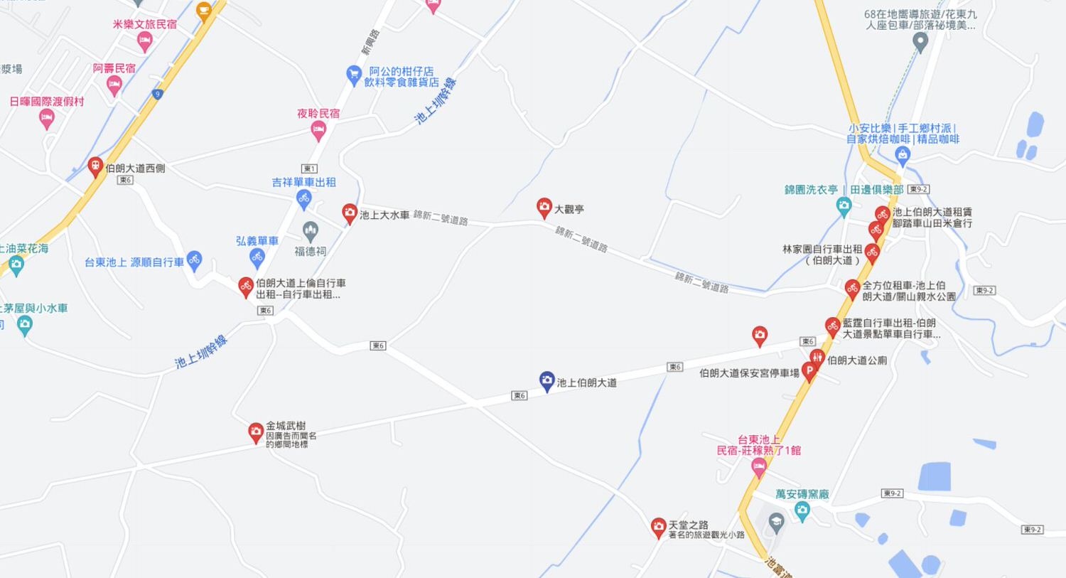 台東二大道︱一日行程 面山面海 長濱金剛大道+池上伯朗大道  金城武樹排隊也要拍 一次收集