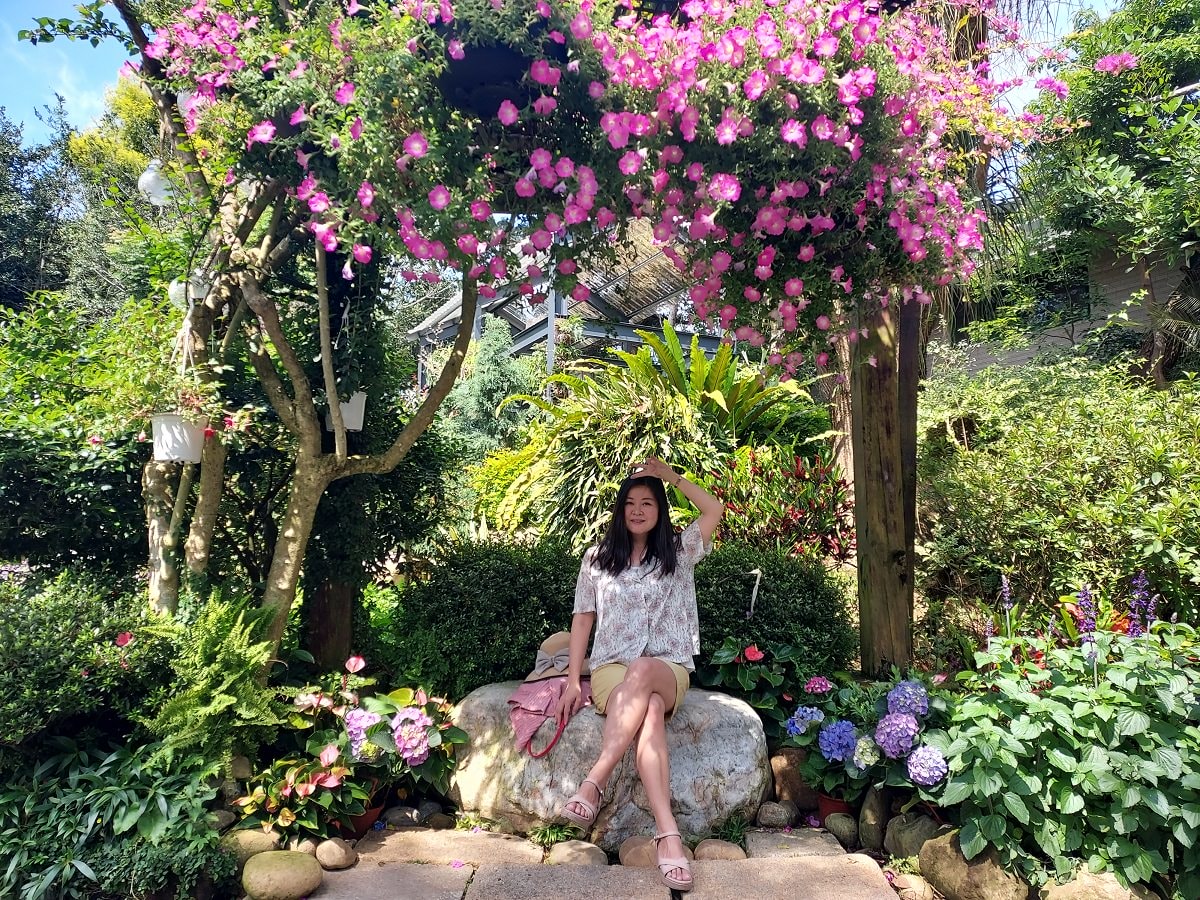 苗栗賞花┃一日行程 卓蘭花露農場 向日葵繡球花玫瑰 拍照姿勢這樣加分 迷你汶水老街有fu~ - 第25張圖 苗栗賞花┃一日行程 卓蘭花露農場 向日葵繡球花玫瑰 拍照姿勢這樣加分 迷你汶水老街有fu~