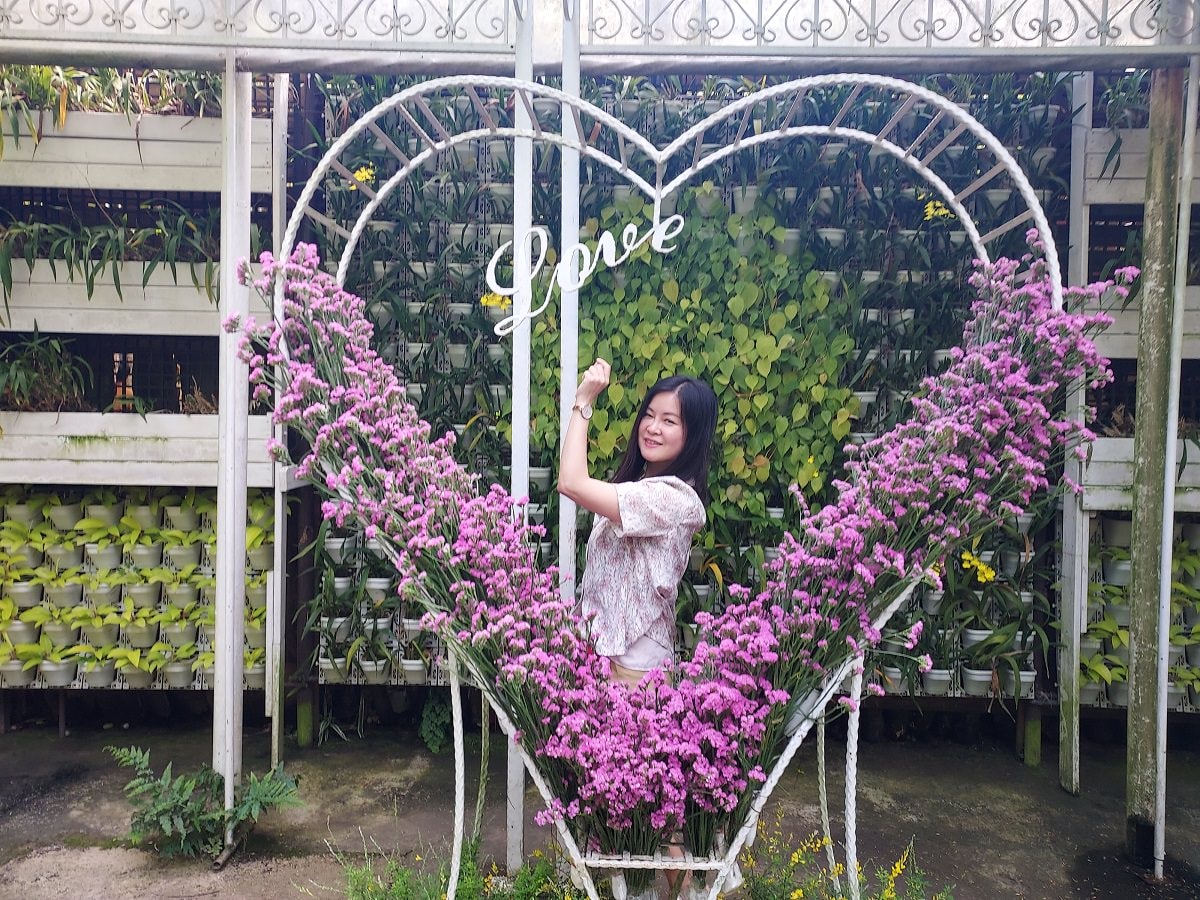 苗栗賞花┃一日行程 卓蘭花露農場 向日葵繡球花玫瑰 拍照姿勢這樣加分 迷你汶水老街有fu~ - 第32張圖 苗栗賞花┃一日行程 卓蘭花露農場 向日葵繡球花玫瑰 拍照姿勢這樣加分 迷你汶水老街有fu~