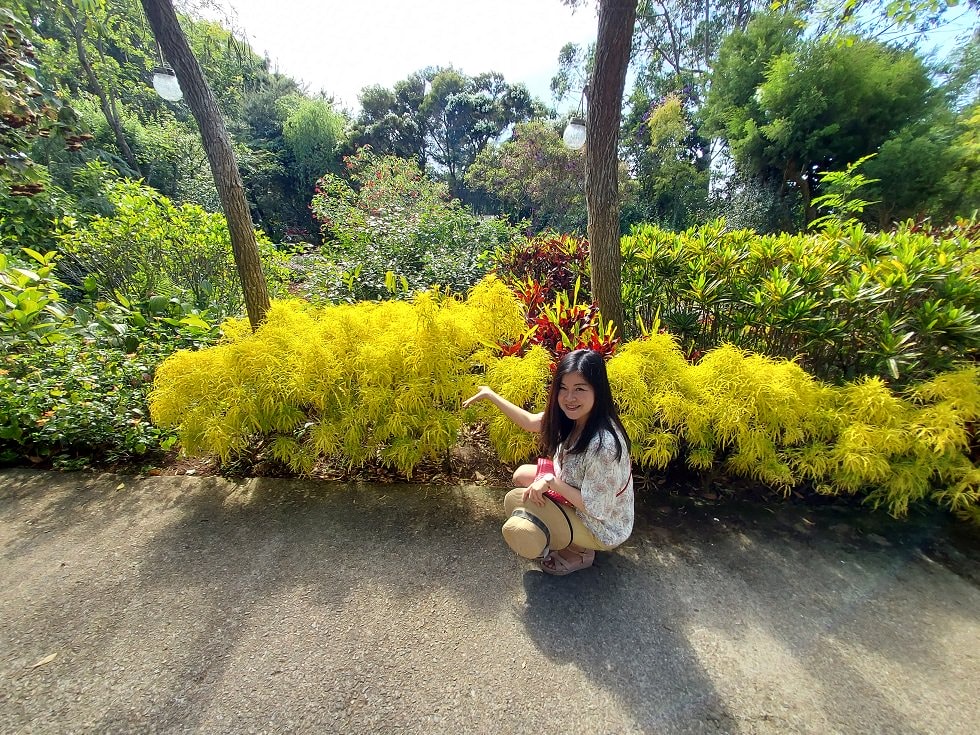 苗栗賞花┃一日行程 卓蘭花露農場 向日葵繡球花玫瑰 拍照姿勢這樣加分 迷你汶水老街有fu~ - 第30張圖 苗栗賞花┃一日行程 卓蘭花露農場 向日葵繡球花玫瑰 拍照姿勢這樣加分 迷你汶水老街有fu~