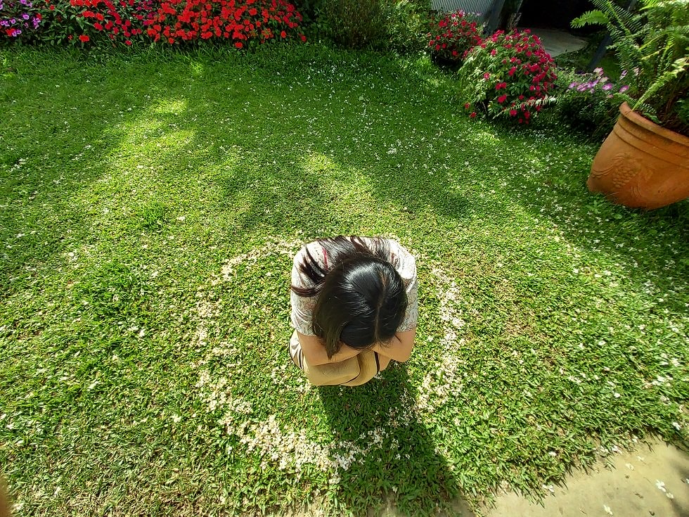 苗栗賞花┃一日行程 卓蘭花露農場 向日葵繡球花玫瑰 拍照姿勢這樣加分 迷你汶水老街有fu~ - 第33張圖 苗栗賞花┃一日行程 卓蘭花露農場 向日葵繡球花玫瑰 拍照姿勢這樣加分 迷你汶水老街有fu~