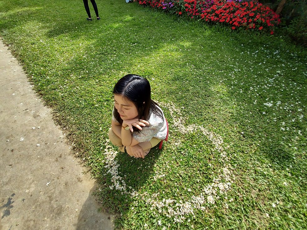 苗栗賞花┃一日行程 卓蘭花露農場 向日葵繡球花玫瑰 拍照姿勢這樣加分 迷你汶水老街有fu~ - 第34張圖 苗栗賞花┃一日行程 卓蘭花露農場 向日葵繡球花玫瑰 拍照姿勢這樣加分 迷你汶水老街有fu~