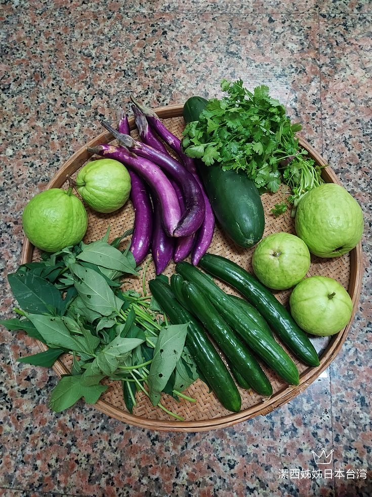 生活分享︱爸爸種菜日常越來越精彩  芭樂贏過菜市場 茄子皮薄超香 蔥直接炒也好吃 無農菜用心認證