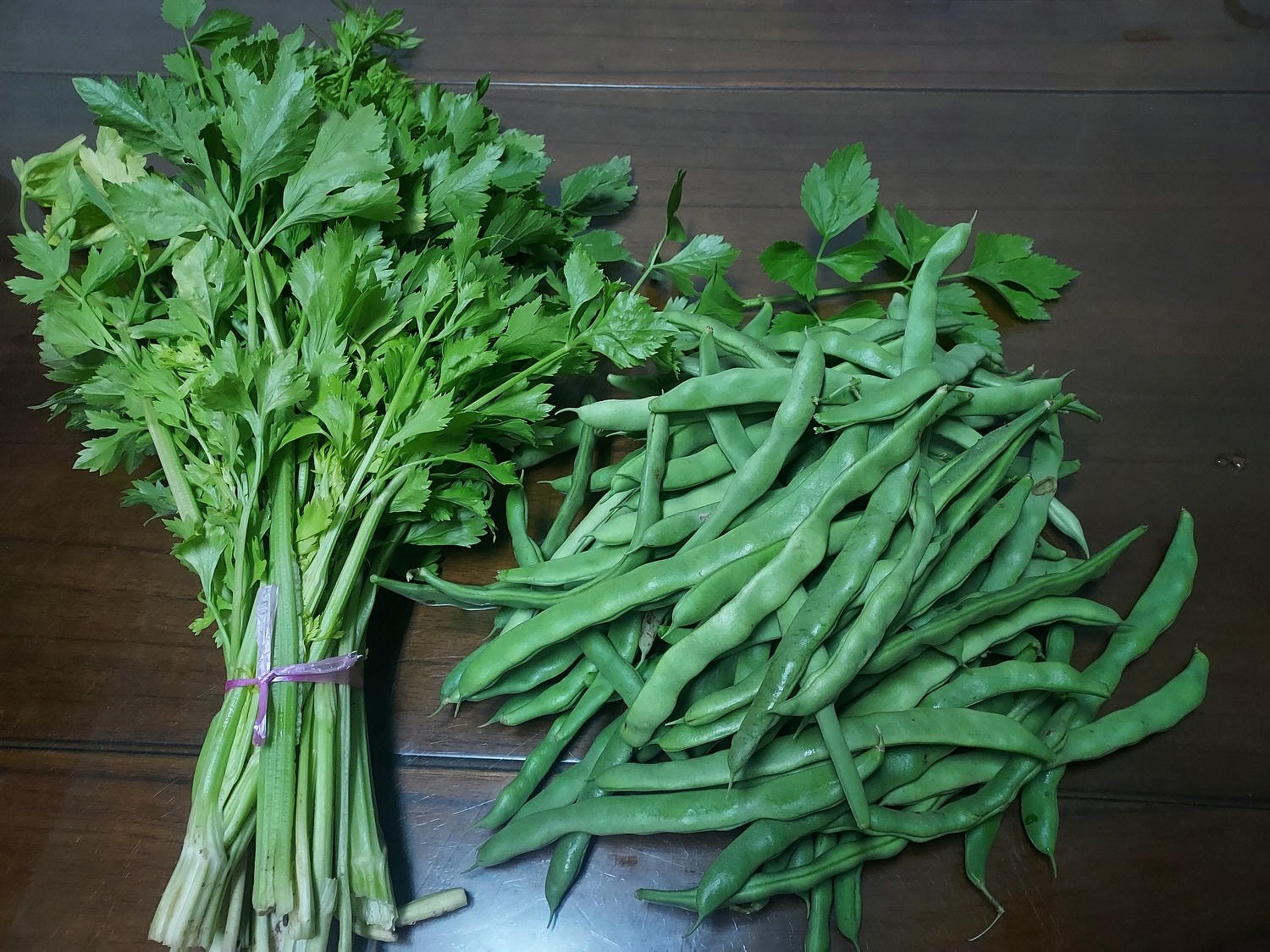 生活分享︱爸爸種菜日常越來越精彩  芭樂贏過菜市場 茄子皮薄超香 蔥直接炒也好吃 無農菜用心認證