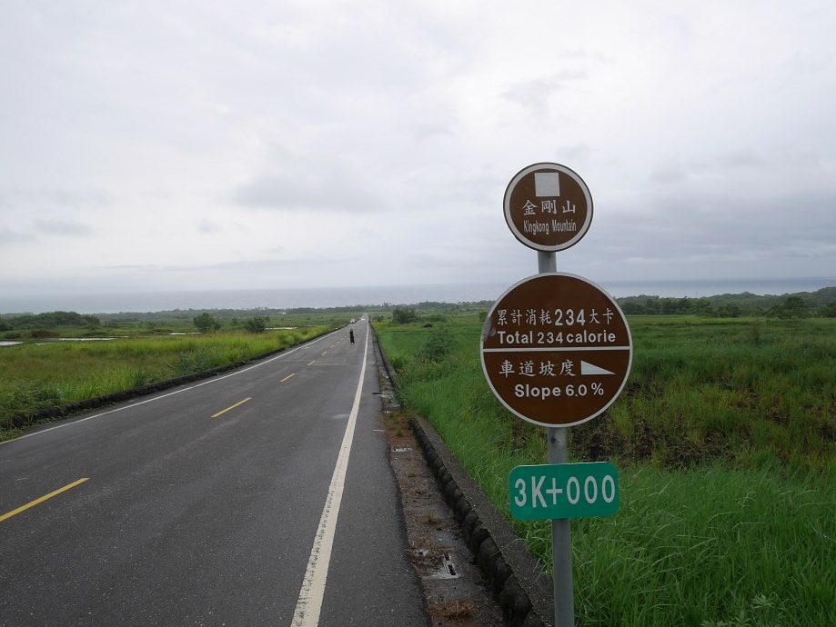 台東二大道︱一日行程 面山面海 長濱金剛大道+池上伯朗大道  金城武樹排隊也要拍 一次收集