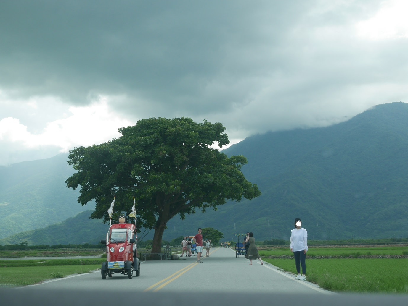 台東二大道︱一日行程 面山面海 長濱金剛大道+池上伯朗大道  金城武樹排隊也要拍 一次收集
