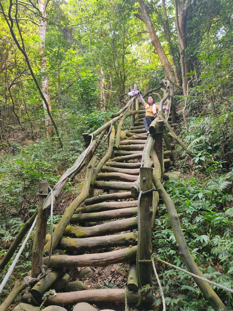 台中爬山┃素人挑戰「大坑步道」木棧道走到哭 1-12條登山步道 這風景讚 傳說中的網紅步道