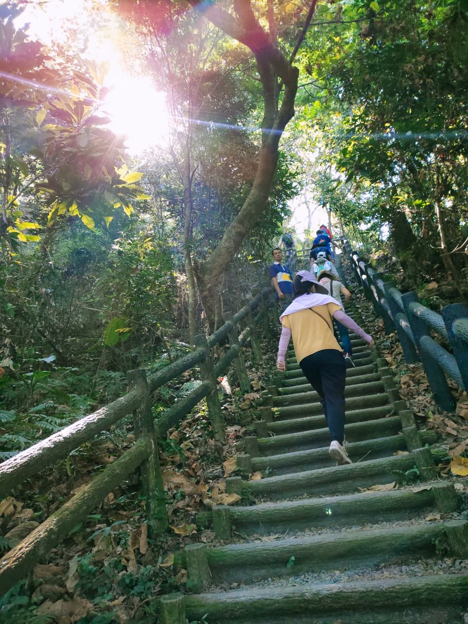 台中爬山┃素人挑戰「大坑步道」木棧道走到哭 1-12條登山步道 這風景讚 傳說中的網紅步道