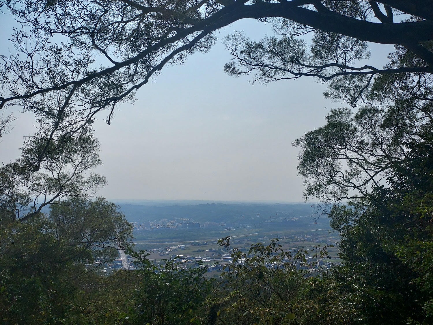 竹苗竹南芎林┃一日行程竹南后厝龍鳳宫 竹南啤酒啤廠 吃阿東窯烤雞 飛鳳山古道爬山 朝聖全台最高威嚴媽祖