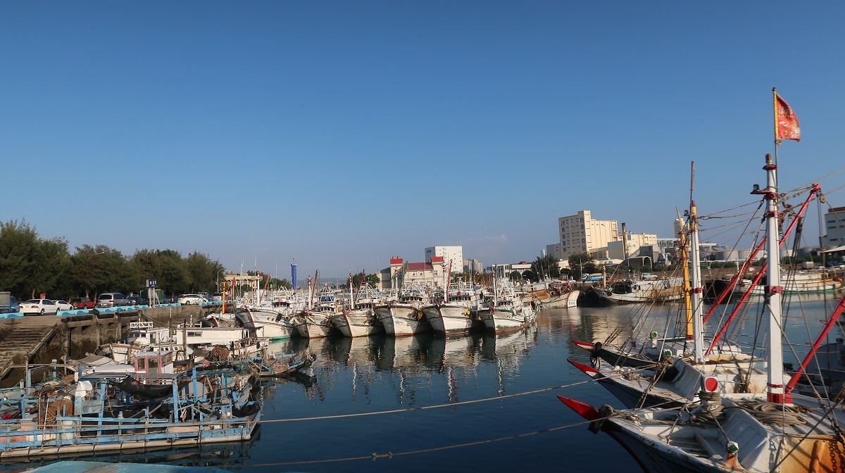 台中梧棲┃最大梧棲漁港觀光漁市 烤花枝今好呷 轉型網美漁港 最美夕陽「高美濕地」這黃昏浪漫極了