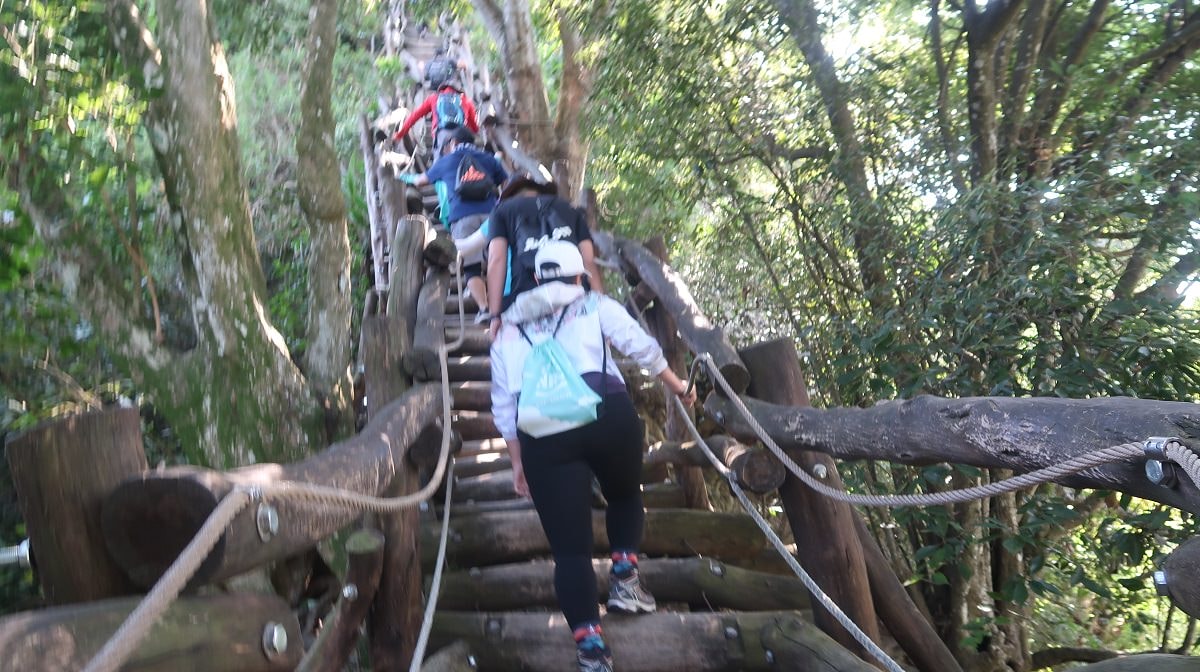 台中爬山┃素人挑戰「大坑步道」木棧道走到哭 1-12條登山步道 這風景讚 傳說中的網紅步道