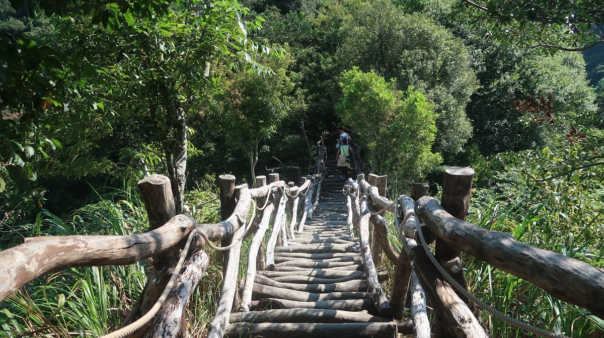 台中爬山┃素人挑戰「大坑步道」木棧道走到哭 1-12條登山步道 這風景讚 傳說中的網紅步道