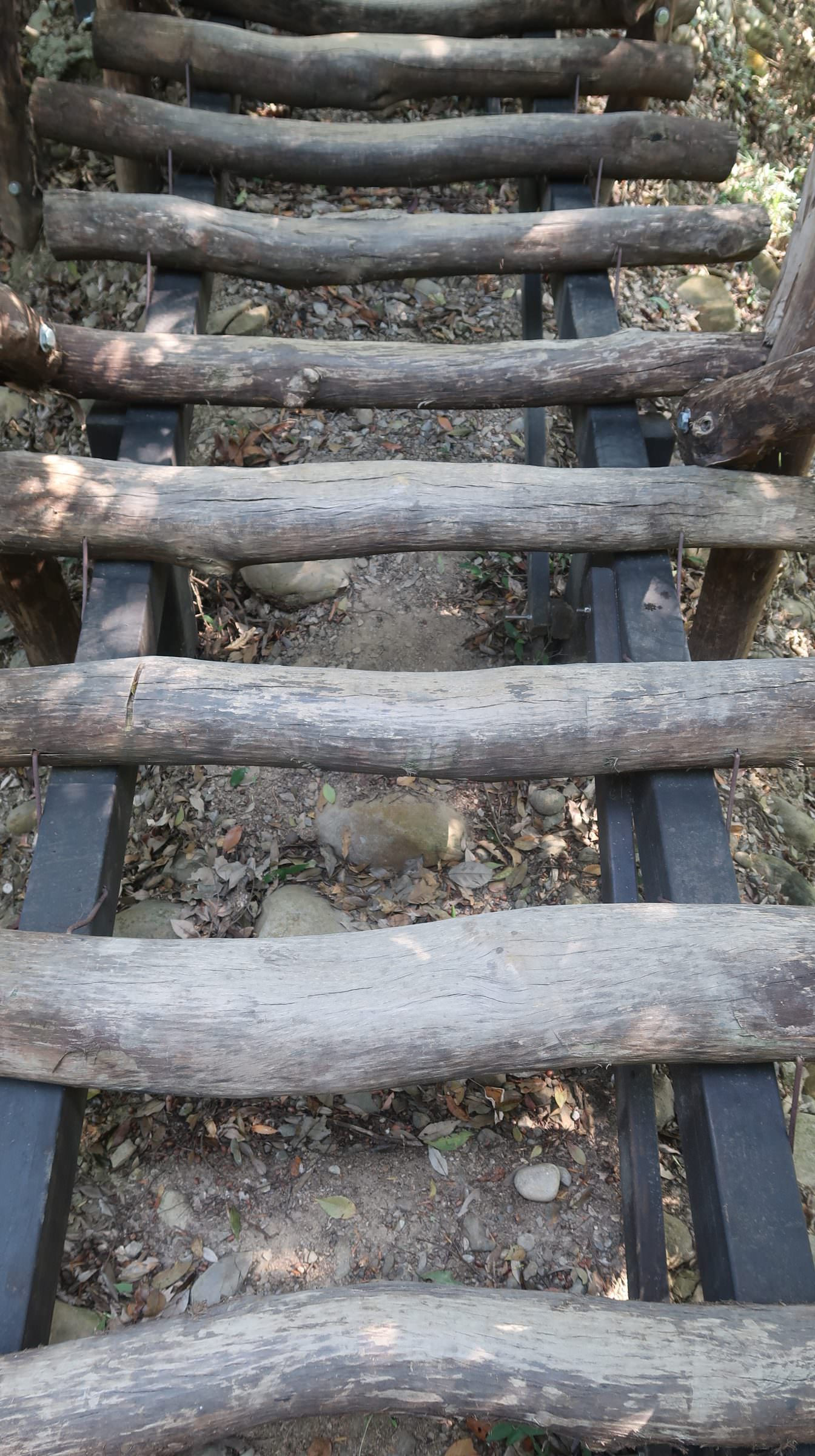 台中爬山┃素人挑戰「大坑步道」木棧道走到哭 1-12條登山步道 這風景讚 傳說中的網紅步道