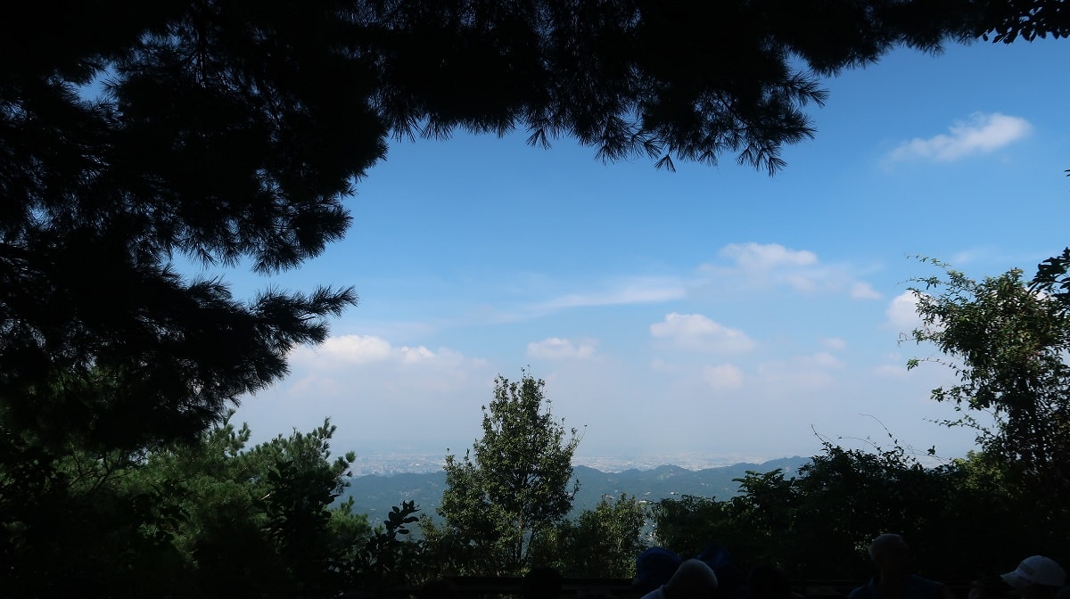 台中爬山┃素人挑戰「大坑步道」木棧道走到哭 1-12條登山步道 這風景讚 傳說中的網紅步道