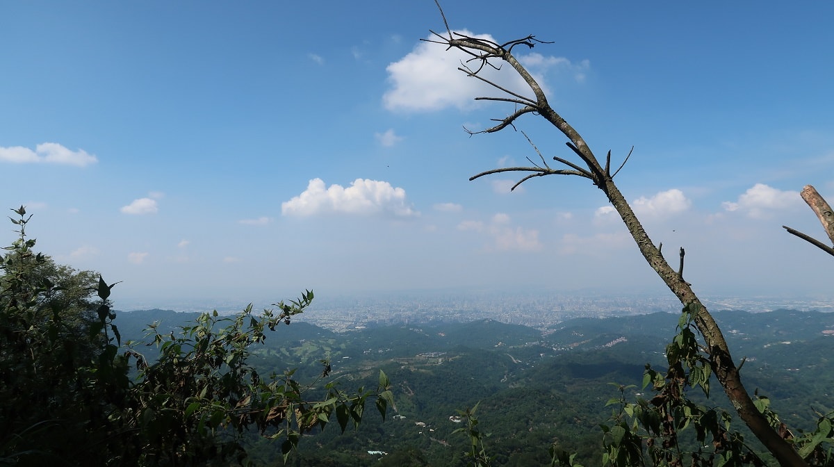 台中爬山┃素人挑戰「大坑步道」木棧道走到哭 1-12條登山步道 這風景讚 傳說中的網紅步道