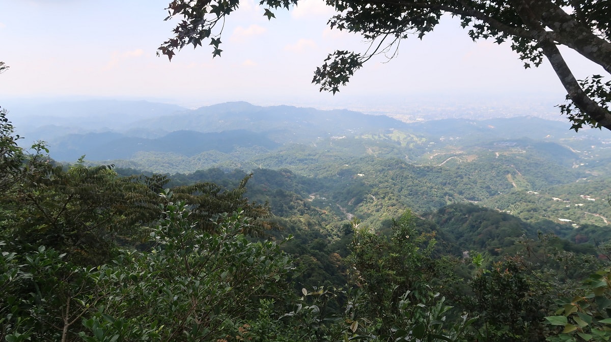 台中爬山┃素人挑戰「大坑步道」木棧道走到哭 1-12條登山步道 這風景讚 傳說中的網紅步道