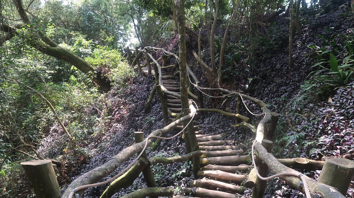 台中爬山┃素人挑戰「大坑步道」木棧道走到哭 1-12條登山步道 這風景讚 傳說中的網紅步道