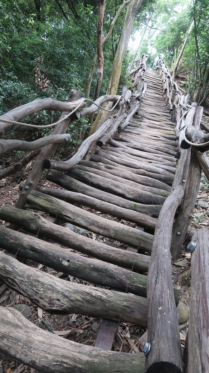 台中爬山┃素人挑戰「大坑步道」木棧道走到哭 1-12條登山步道 這風景讚 傳說中的網紅步道