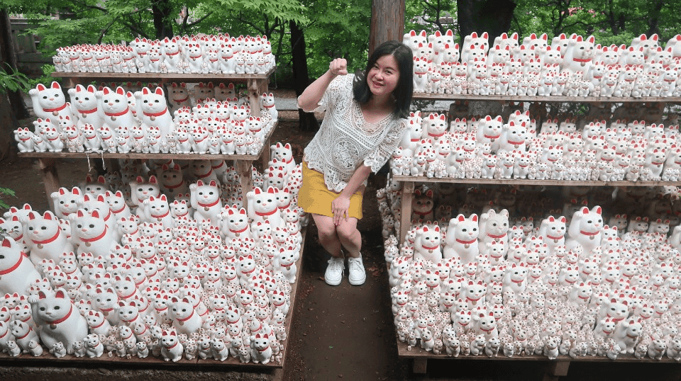 日本關東︱東京世田谷區文青散策 豪德寺遇見千隻招福貓 東京茶寮手沖日本茶 白髭泡芙工房龍貓泡芙