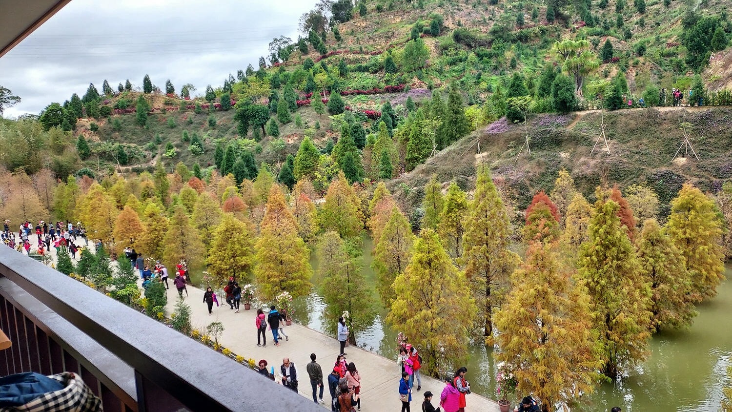 苗栗南庄三灣┃一日行程 秘境300棵 三灣落羽松免門票 順遊南庄蘇維拉莊園超長溜滑梯 吃客家菜