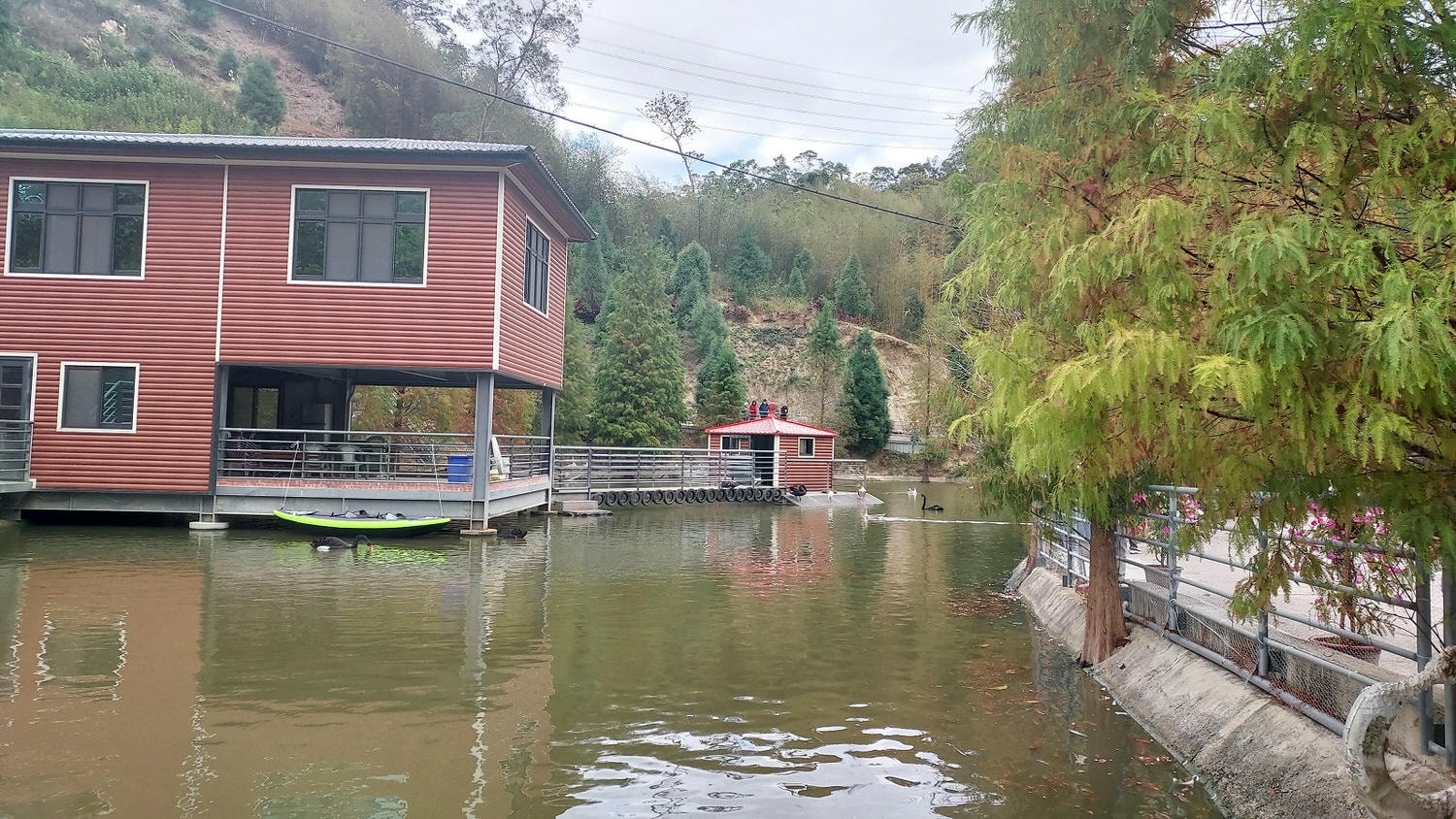 苗栗南庄三灣┃一日行程 秘境300棵 三灣落羽松免門票 順遊南庄蘇維拉莊園超長溜滑梯 吃客家菜