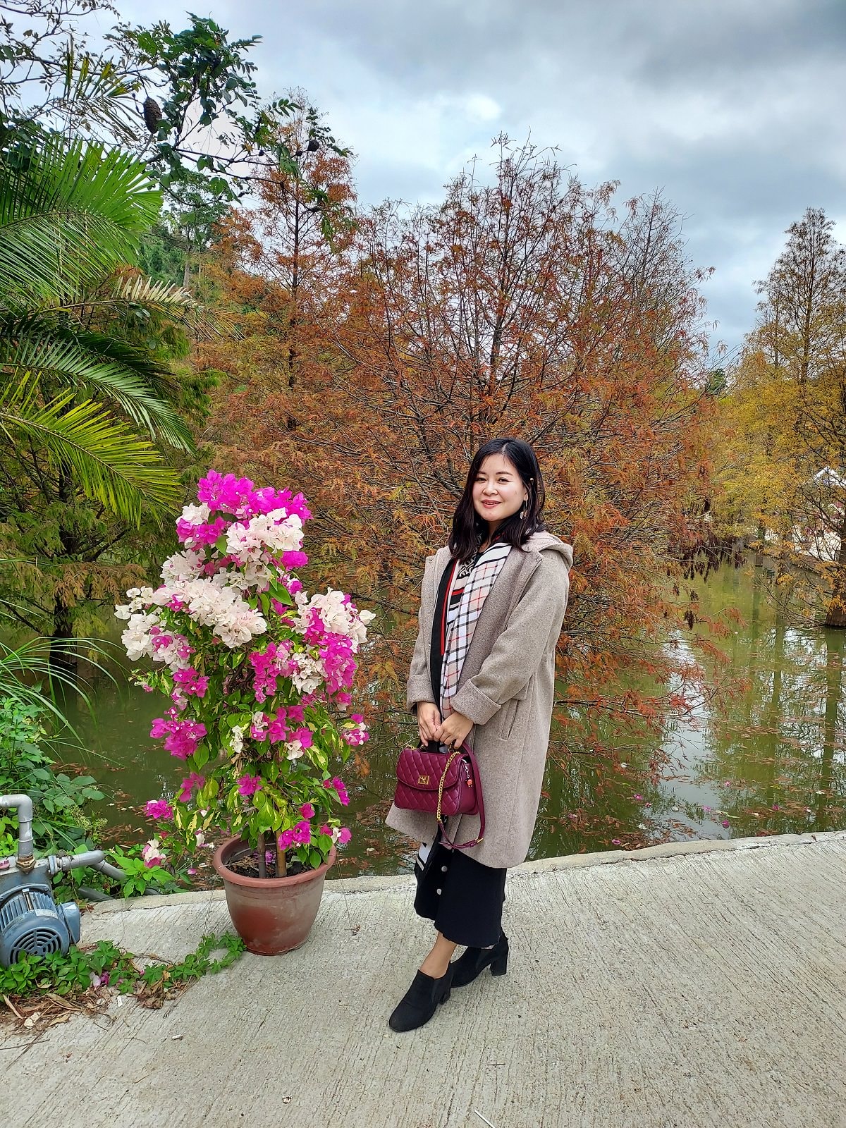 苗栗南庄三灣┃一日行程 秘境300棵 三灣落羽松免門票 順遊南庄蘇維拉莊園超長溜滑梯 吃客家菜