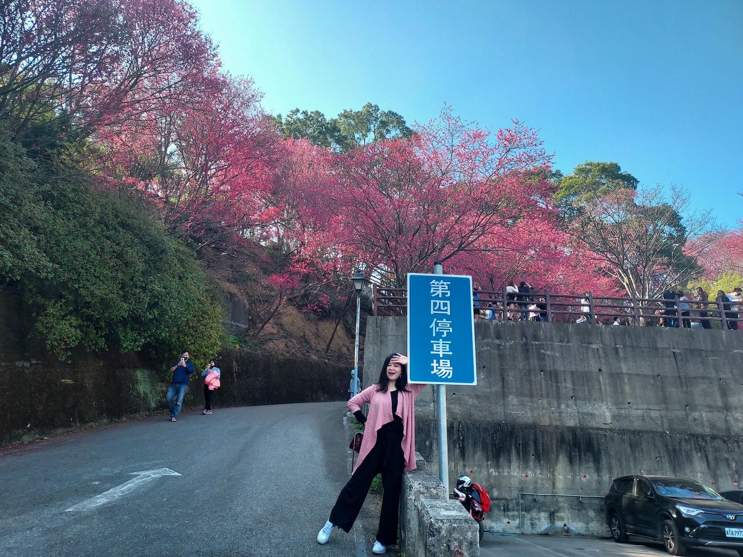 苗栗獅潭┃一日行程~苗栗賞櫻「協雲宮櫻花步道」順路吃「桃之屋」公館超親民道地客家料理