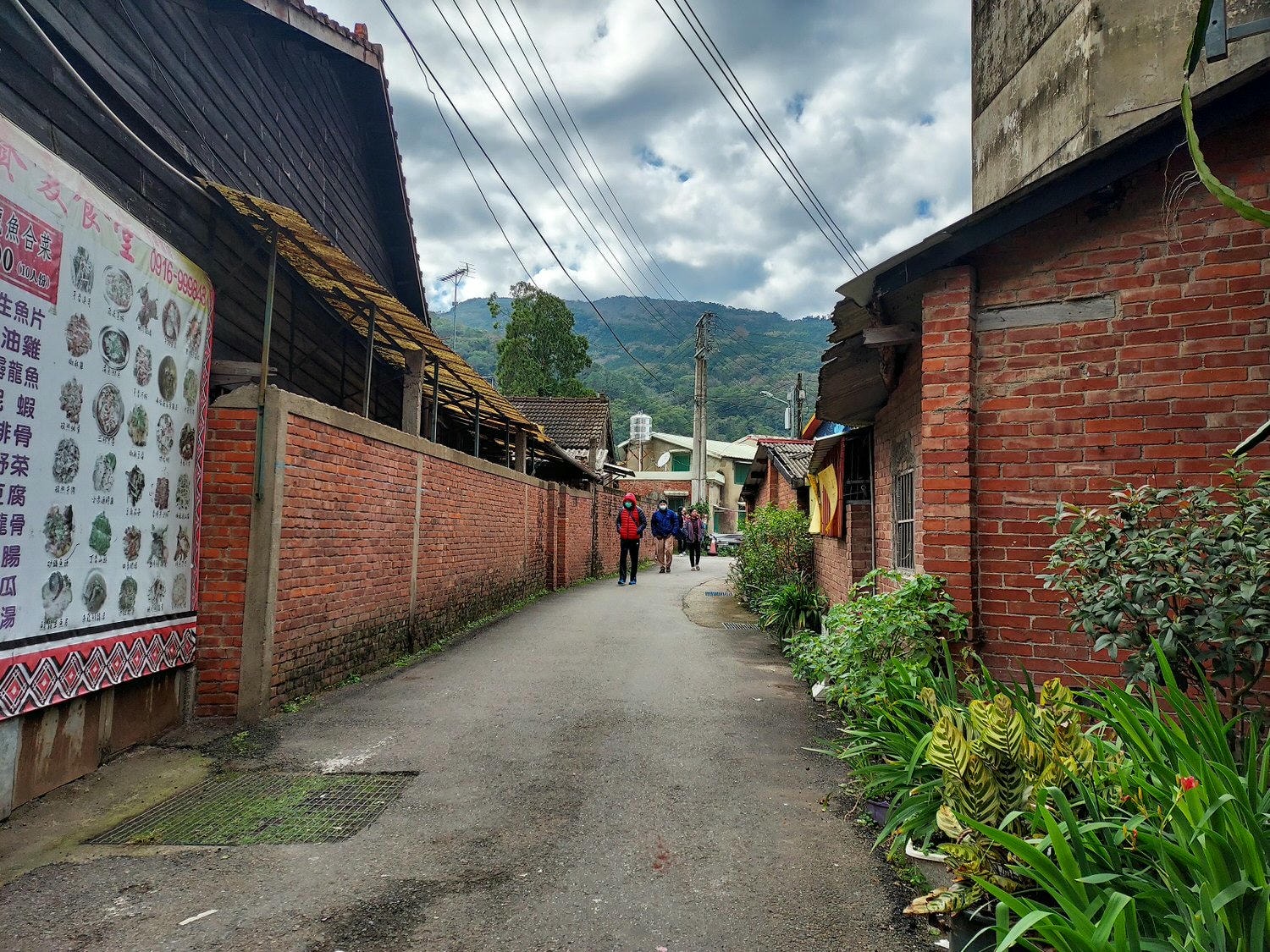 苗栗南庄三灣┃一日行程 秘境300棵 三灣落羽松免門票 順遊南庄蘇維拉莊園超長溜滑梯 吃客家菜