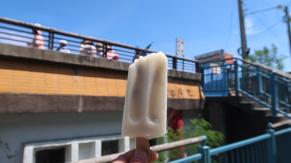 台東鹿野┃熊貓不轉過來蛋糕可愛~2020台東熱氣球嘉年華  全台最美車站 太麻里「多良車站」海景列車