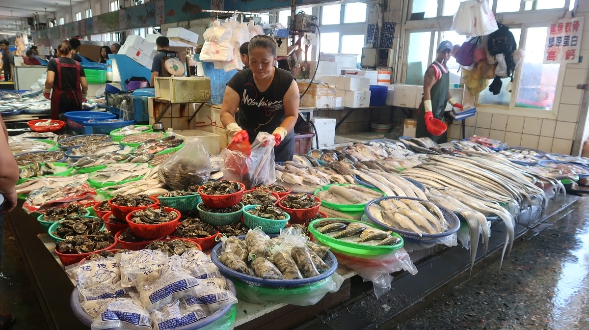 台中梧棲┃最大梧棲漁港觀光漁市 烤花枝今好呷 轉型網美漁港 最美夕陽「高美濕地」這黃昏浪漫極了
